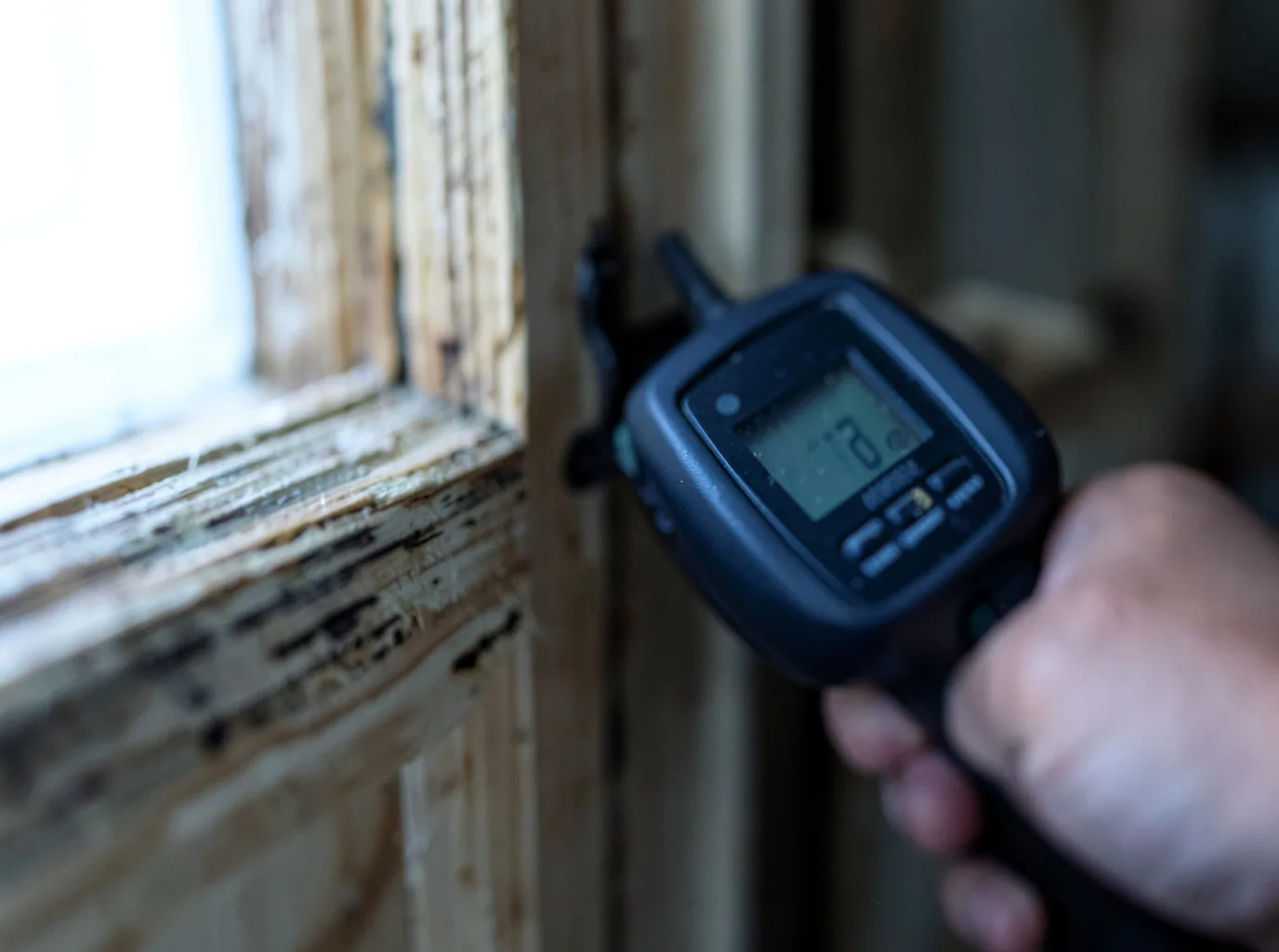 Moisture Inspection And Documentation in Anchor Point, AK